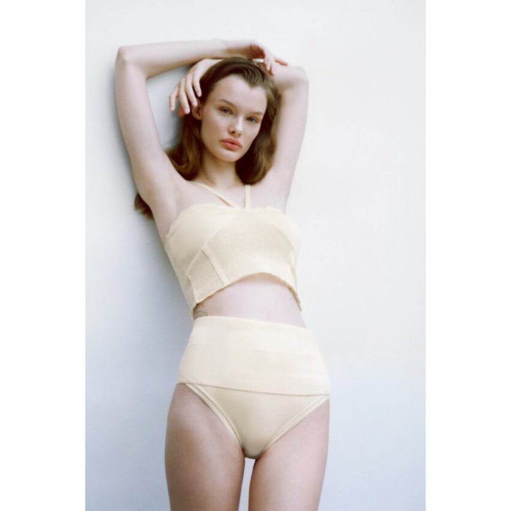NWOT ZARA OYSTER WHITE CROP POINTELLE KNIT TOP